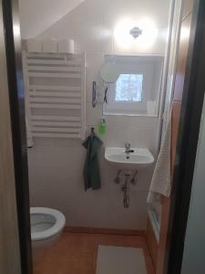 Baño pequeño con aseo y lavamanos en Apartmány u Torína en Boží Dar