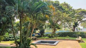 einen Pool in einem Garten mit Palmen und einer Bank in der Unterkunft Signal Appartments in Abidjan