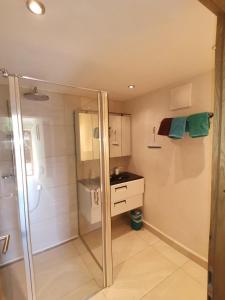 a bathroom with a shower and a glass shower stall at Ferienwohnung Konrad in Kirchdorf in Tirol