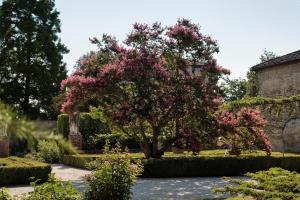 ロンカーデにあるCastello di Roncadeの庭のピンクの花の木