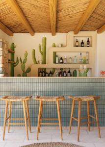 due sgabelli in legno di fronte a un bar con cactus di Tenuta Negroamaro a Gallipoli