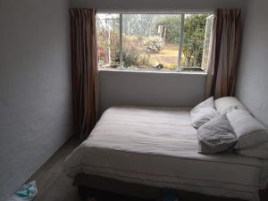 a small bed in a room with a window at Bergview Chalet, Cathkin in Bergview