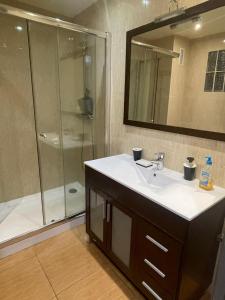 a bathroom with a sink and a shower at Apartments Cal Benet in Camarasa