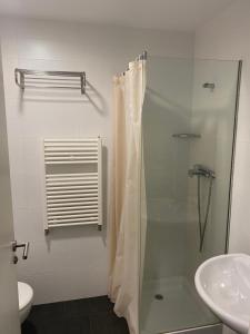 y baño con ducha y lavamanos. en Hostal La Pinilla, en Segovia