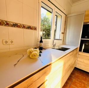 Kuchyň nebo kuchyňský kout v ubytování Villa Paula