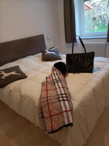 Posteľ alebo postele v izbe v ubytovaní Appartamenti Primiero