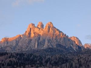 una montaña alta con árboles delante de ella en Appartamenti Primiero, en Fiera di Primiero