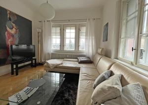a living room with a couch and a television at Rosa Villa Selb in Selb