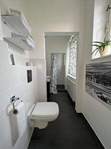 a white bathroom with a toilet and a sink at Rosa Villa Selb in Selb