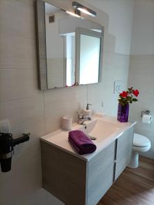 a bathroom with a sink and a mirror and a toilet at Appartamenti Primiero in Fiera di Primiero