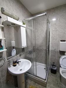 a bathroom with a shower and a sink and a toilet at BG apartman in Vrnjačka Banja