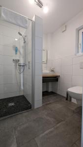 ein Bad mit einer Dusche und einem Waschbecken in der Unterkunft Altes Ruderhaus in Worms