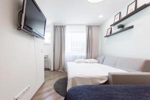 TV a/nebo společenská místnost v ubytování Nordic design apartment