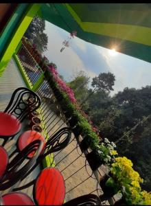 a group of benches with flowers on a patio at Greenery Homestay in Darjeeling