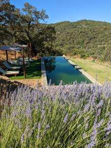 a view of a lake with purple flowers at Finca Bravo in Cortegana