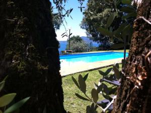 a swimming pool surrounded by trees and the ocean at Castello Oldofredi in Monte Isola