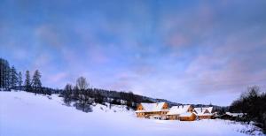 una casa está cubierta de nieve en una colina nevada en Chalupa Grúnik, en Jezersko
