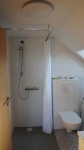 uma casa de banho com um chuveiro e um WC. em Pension Limone Ferienwohnung 2 em Neu Lindenberg
