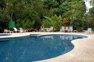 einen Pool mit Stühlen, Tischen und Stühlen in der Unterkunft Selva Verde Lodge in Sarapiquí