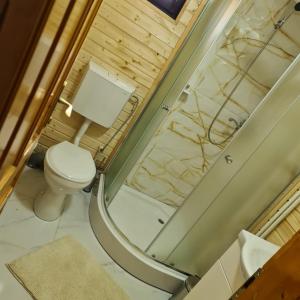 a bathroom with a shower and a toilet at Baltina Parc Transfagarasan in Curtea de Argeş