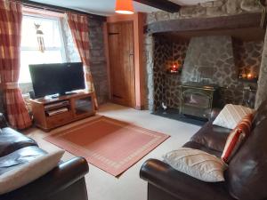 a living room with a couch and a television and a fireplace at Bronhaul in Llanbrynmair