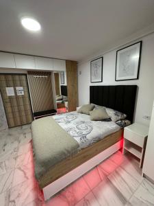 a bedroom with a large bed in a room at Exclusiv Room in Iaşi +5 photos