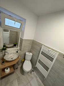 a bathroom with a toilet and a sink at Exclusiv Room in Iaşi