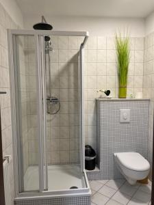 een badkamer met een douche en een toilet bij Pension-Geli in Monplaisir