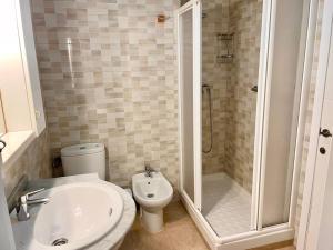 a bathroom with a shower and a toilet and a sink at Apartamento El Rincón de la Verdad in Córdoba