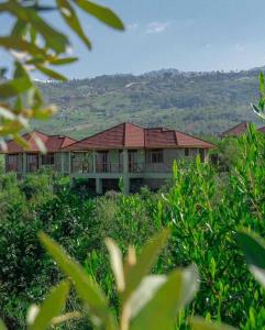 a house in the middle of a field of plants at CAPELLA RESORT (ELEMENTAITA, KENYA) in Nakuru