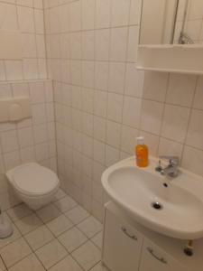 un bagno bianco con un water e un lavandino di Schöne Wohnung für Monteure und sonstige Reisende a Zwickau