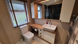 a bathroom with a toilet and a sink and a mirror at LUXURY LODGE on edge of New Forest and 800m from sea ENTERTAINMENT and LEISURE PASSES INCLUDED in Milford on Sea