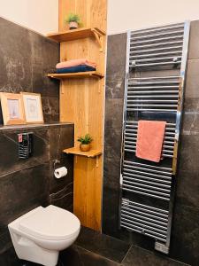 bagno con servizi igienici e parete nera. di Charmant appartement plein centre ville - parking privé ad Auxerre