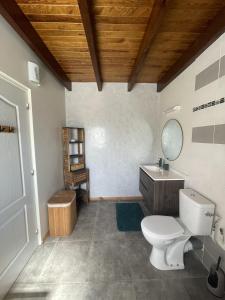 łazienka z toaletą i umywalką w obiekcie O'Chalet des îles w mieście Capesterre-Belle-Eau