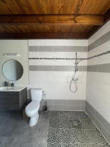 卡佩斯特雷貝勒奧的住宿－O'Chalet des îles，浴室配有卫生间、盥洗盆和淋浴。