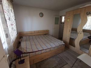 a small bedroom with a bed in a room at Cabanuta Fara Fite in Proviţa de Jos