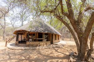 a small hut with a thatched roof under a tree at Palala River Cottages in Vaalwater +19 photos