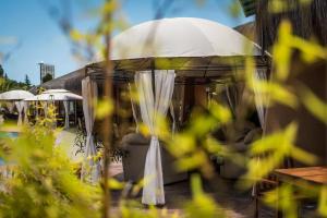 Zahrada ubytování Hotel Serena Suite