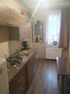 Kuchyňa alebo kuchynka v ubytovaní Apartament Demiro
