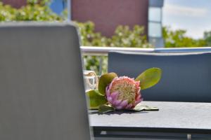 Zahrada ubytování An oolt Lüchttoorn - Zedeliusstr 8