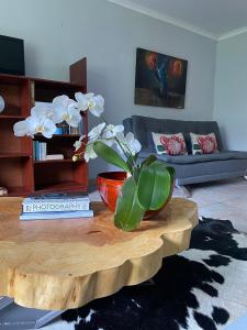 a living room with a coffee table with a plant on it at Rooikrans Cottage in Groot Brak Rivier