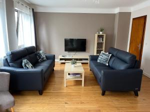 a living room with two blue couches and a tv at MAMA'S APPART in Epping-Urbach