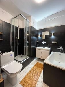 a bathroom with a shower and a toilet and a sink at 14 Gdynia Centrum - Apartament Mieszkanie dla 4 os in Gdynia