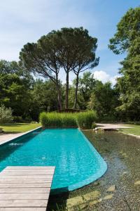 a swimming pool with a wooden deck and a tree at Bioagriturismo il cerreto in Pomarance