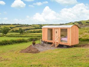 una casita en una colina en un campo en The Shearers Hut-uk39774, en Trefeglwys