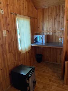 a kitchen with a counter and a microwave in a room at Kurzemes pērle in Sepene