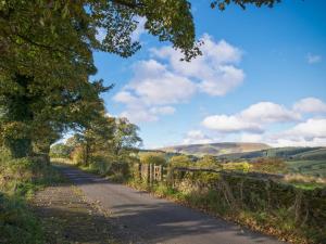 a road in the hills with a tree on the side at Chattox Cottage in Barrowford