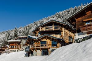 Chalet Alpaga Two v zime