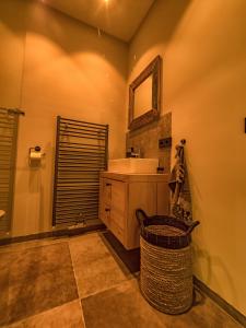 een badkamer met een wastafel en een spiegel bij Gastenverblijf Bie Zus in Buggenum