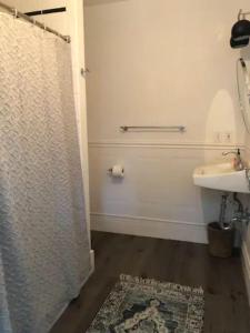 a bathroom with a shower and a sink and a toilet at Luxurious indoor/outdoor Family Paradise in downtown St Augustine in Saint Augustine
